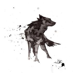 Meet your Posher, Lexi